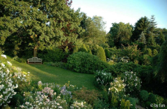 Gartenansichten 7