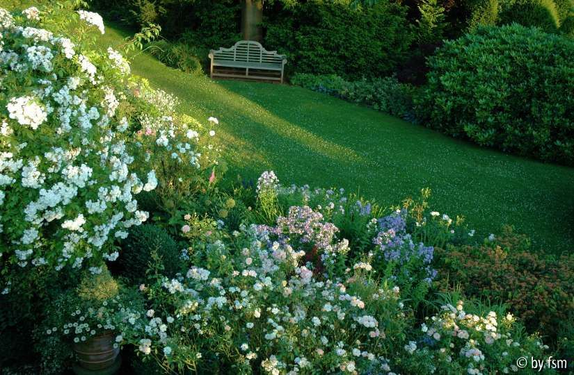 Gartenansichten 9