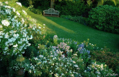 Gartenansichten 9