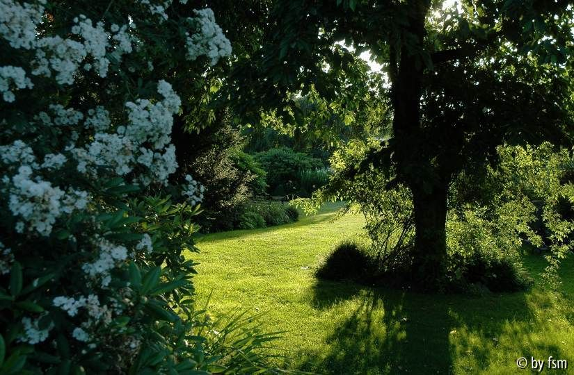 Gartenansichten 10