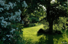 Gartenansichten 10