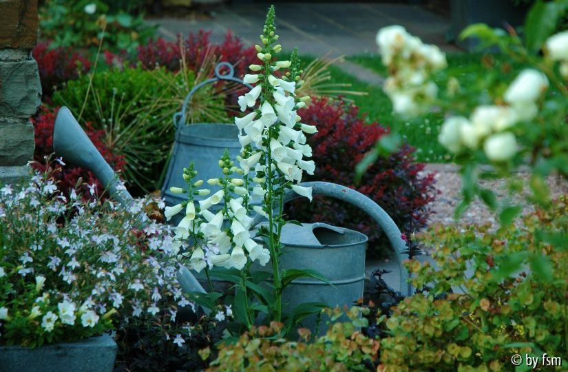 Gartenansichten 1