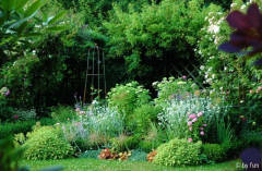 Gartenansichten 2