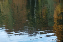 Adenauerweiher im Herbst 2