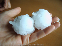 1hagel-3juni05.jpg