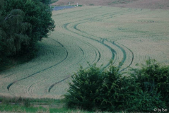 Feldansichten 4 16-07-2007