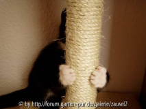 Such_mich_doch