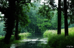 Regenstimmung am Kanal