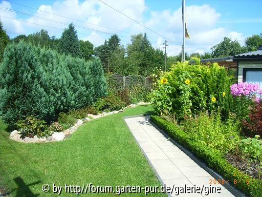 linke Seite meines Gartens