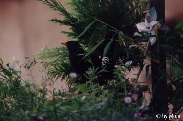 Wilfried Amsel bei der Wach-Schicht