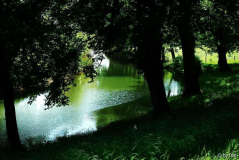 Flussstimmung bei Pange