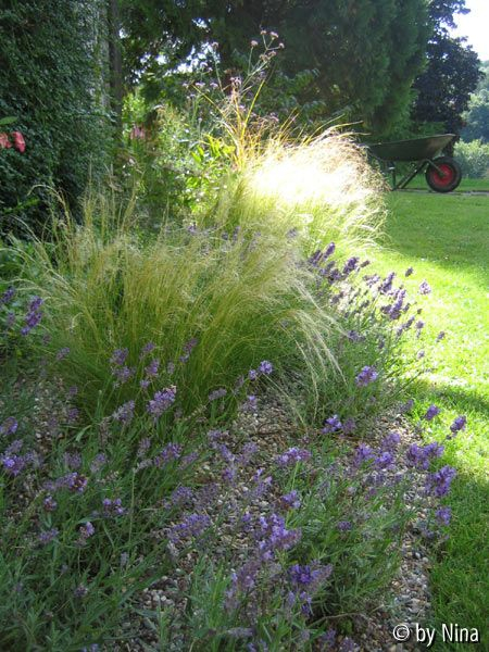 Gravel Border 1
