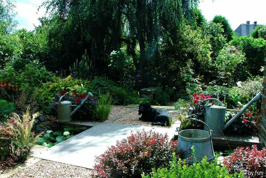 Gartenansichten 1 09-08-2008