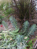 Gravel border 4