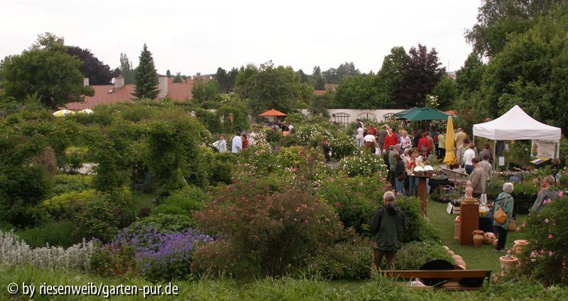 gartentage Seitenstetten 2005