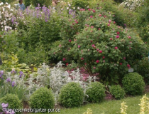 seitenstetten rosengarten haller.jpg