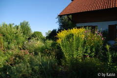 Südseite