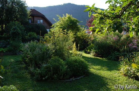 Unterer Bereich