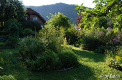 Unterer Bereich