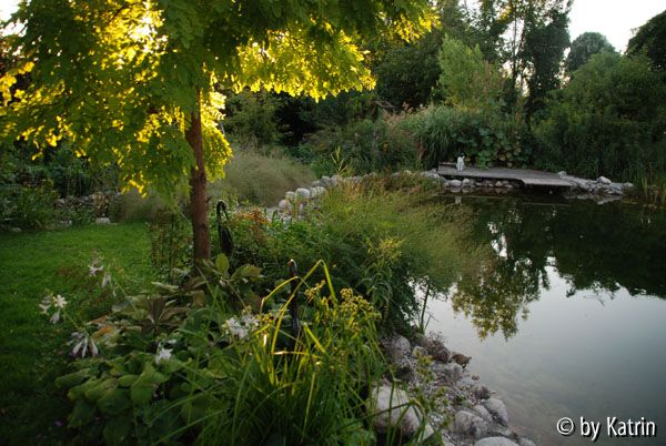 Teich