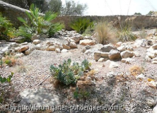 garten -  08_08.jpg