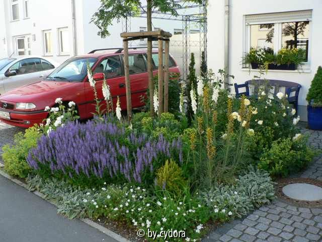 Vorgarten