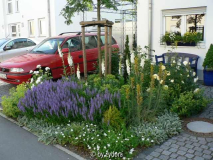 Vorgarten