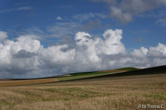 CdO 003
