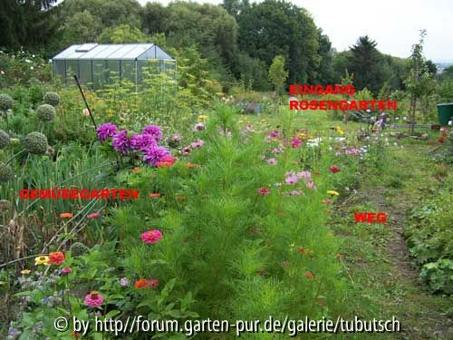 Der Weg zum Rosen-Wohnzimmergarten