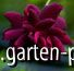 Nigrette avatar 0055