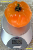 Persimmon_Gramm_HJ_a.jpg