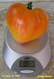Orange Russian Gewicht