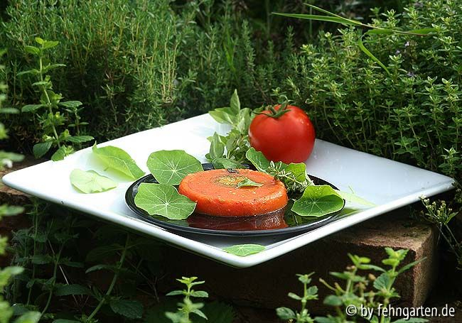mousse aux tomates-zitronenthymian