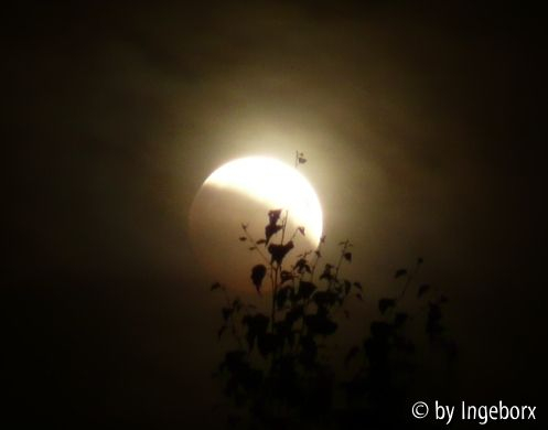 Mondfinsternis