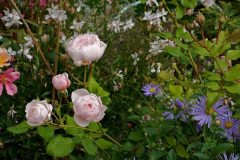 Bouquet_Heritage.jpg