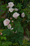 Souv_St-Anne.jpg