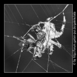 Leben und Tod