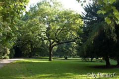 Radweg zur Arbeit: Stadtgarten