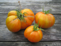 Tomate Beautyking