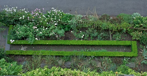 Rosenbeet