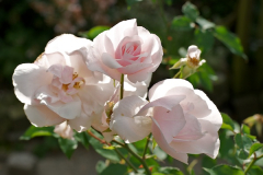 080906_SouvDeStAnnes.jpg