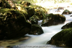 Bohinjsko JezeroIMG_2888jpg.jpg