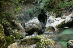 Bohinjsko JezeroIMG_2884jpg.jpg