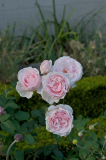 080913_SdM.jpg