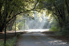 Radweg zur Arbeit: Stadtwald