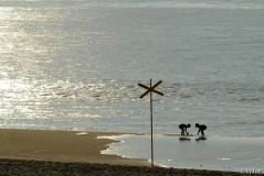 Sylt 1 19-09-2008