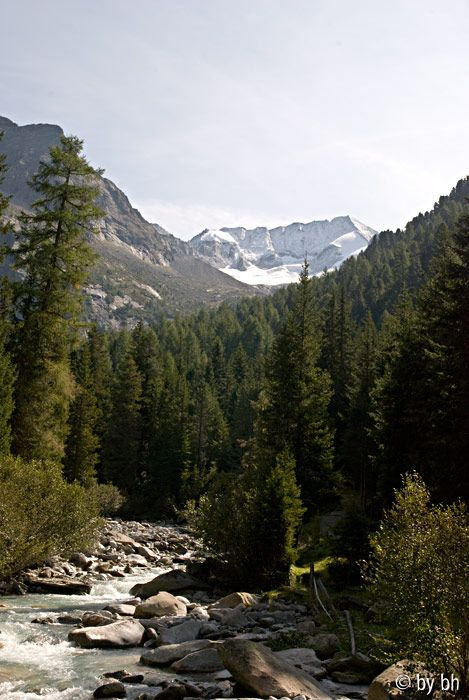 Hochgall 3436m