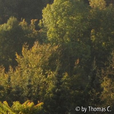 18-200 mm Ausschnitt Mitte
