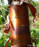Peunus_serrula.jpg