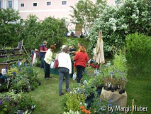 Seitenstetten2005_01.jpg